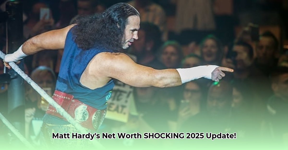 net-worth-of-matt-hardy
